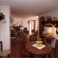 GINESTRA (1)