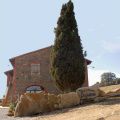 il Ginepro (1)
