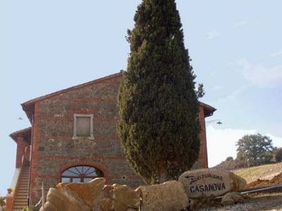 il Ginepro