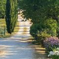 Affittacamere (3)