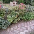 Affittacamere (4)
