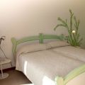Salicornia (1)