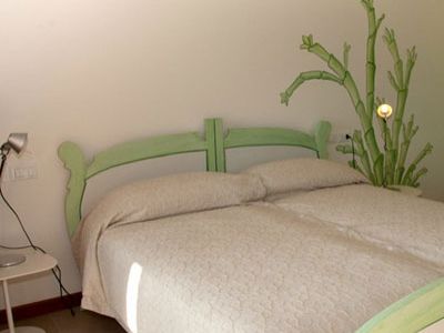 Salicornia