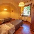 la volpe (3)