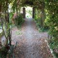 casino di caccia (4)
