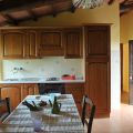 Leccio (1)