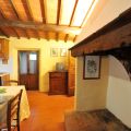 Quercia (1)