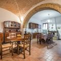 Ginestra (1)