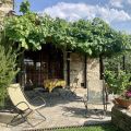Rosmarino (4)