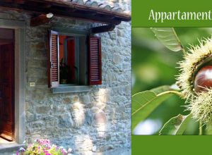 Descripción habitaciones 4