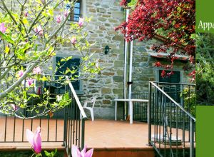 Descripción habitaciones 2