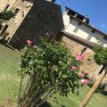 IL FORTEBRACCIO  (4)