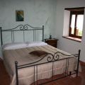SOLE (1)