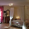 La Ginestra (1)