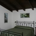 verde (1)