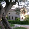 Antica scuderia (1)