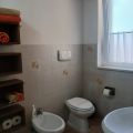 OCA Gialla (4)