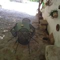 CARRUBO (2)