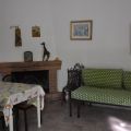 Lentisco (2)