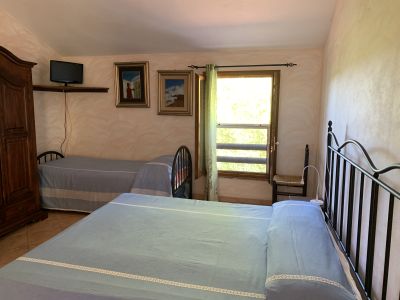Camera 6