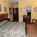 OLIVO D (1)