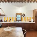 CANAIOLO (4)