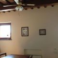 Ascolana (1)