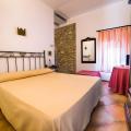 mandorlo (1)