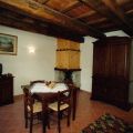 GINESTRA (1)