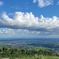 Le Margherite panoramica (5)