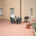 OLIVA (1)