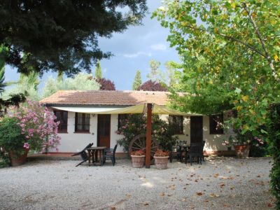 Edera