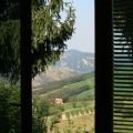 Suite verde (1)