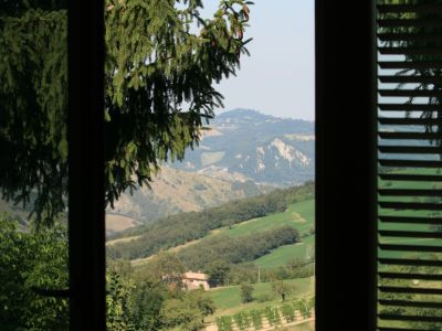 Suite verde
