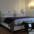 Family Room (1)