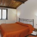 ULIVO (1)
