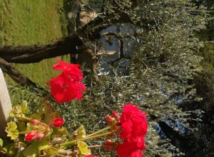 Descripción habitaciones 3