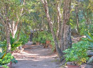 Description des chambres 1