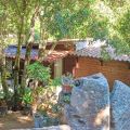 Case tra gli alberi (4)