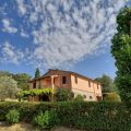 Rosmarino (2)