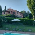 Rosmarino (3)