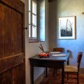 Felce (6)