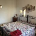 Le olive (1)