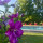 preview image2 piscina