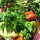 preview image3 esterno