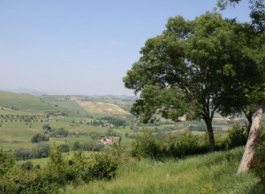 image1 Locanda Della Fortuna