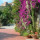 preview image2 esterno