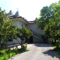 L'ippocastano
