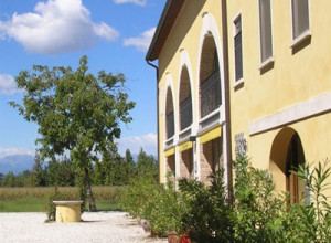 image3 Fattoria Grimana