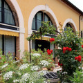 Fattoria Grimana